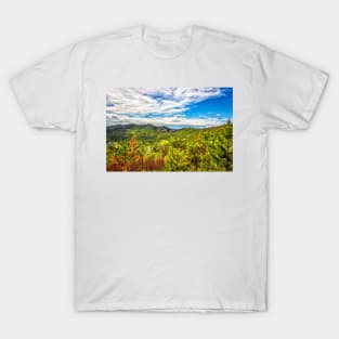 Heddy Draw Overlook T-Shirt